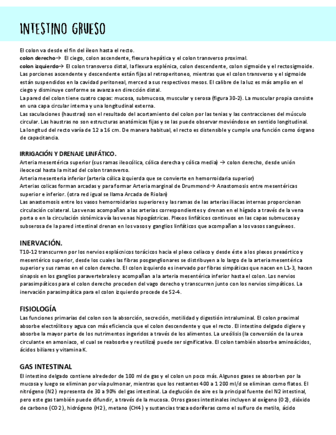 Miniatura del documento Intestino-grueso.pdf