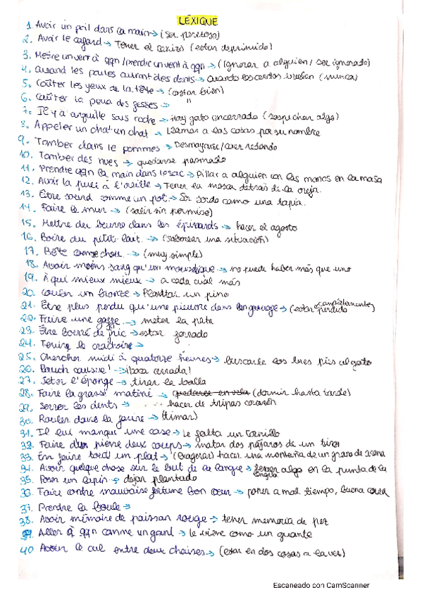 Miniatura del documento Lexique.pdf