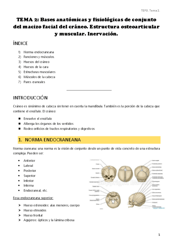 Miniatura del documento Tema-2.pdf