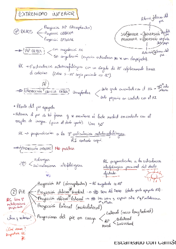 Miniatura del documento Extrem.pdf