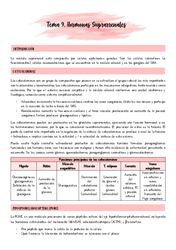 Miniatura del documento Tema-9.pdf