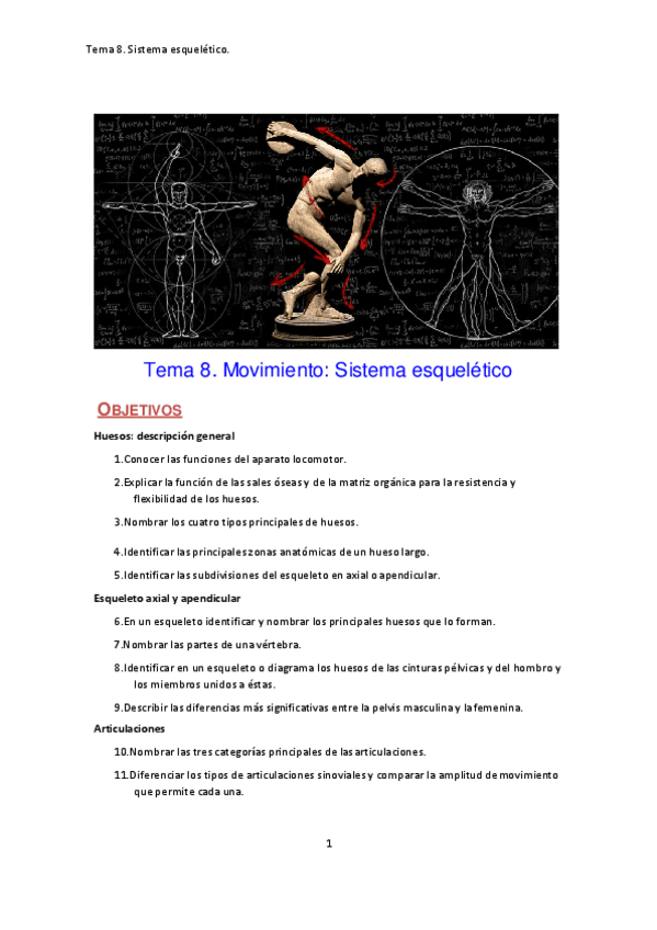 Miniatura del documento Anat-08Huesos-y-articulaciones.pdf