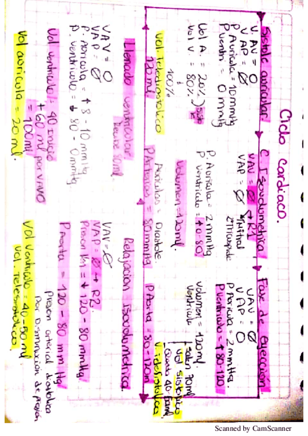 Miniatura del documento ciclo-cardiaco.pdf