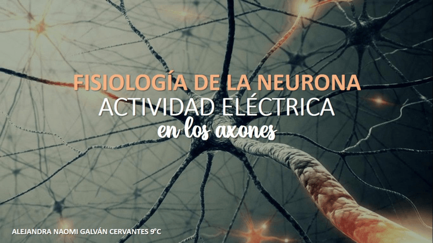 Miniatura del documento POTENCIAL-DE-ACCION-NAOMI.pdf