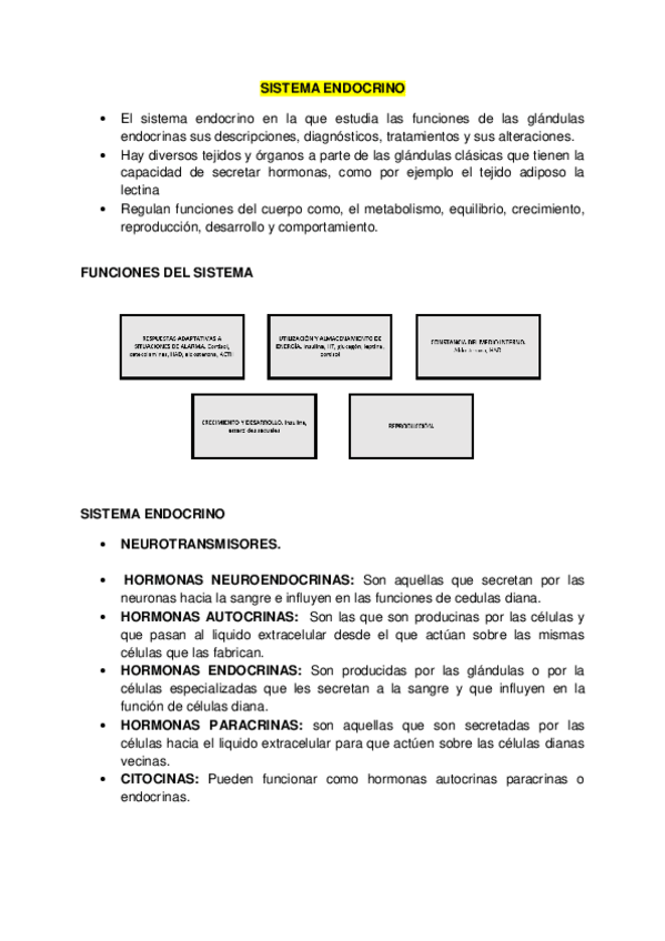 Miniatura del documento SISTEMA-ENDOCRINO.pdf