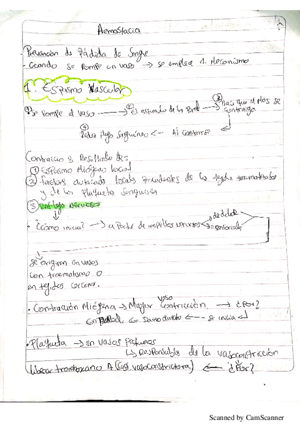 Miniatura del documento hemo.pdf