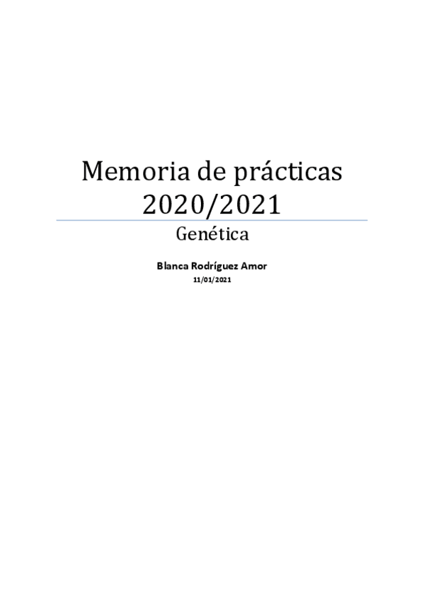 Miniatura del documento Memoria-de-practicas.pdf