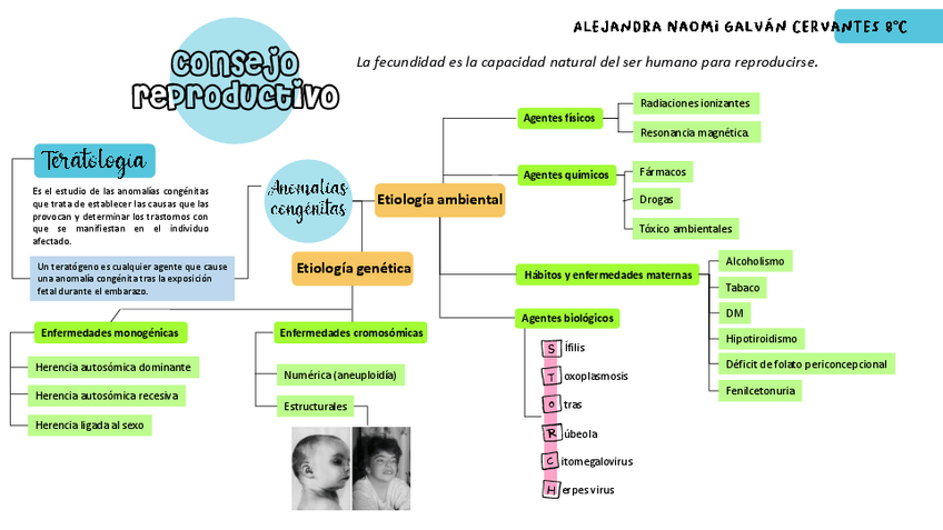 Miniatura del documento CONSEJO-REPRODUCTIVO.pdf
