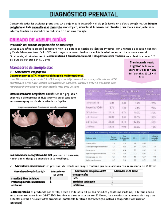 Miniatura del documento DIAGNOSTICO-PRENATAL-3.pdf