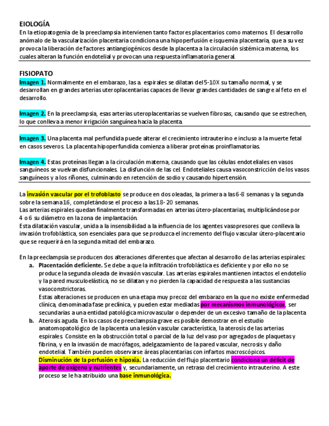 Miniatura del documento PREECLAMPSIA.pdf