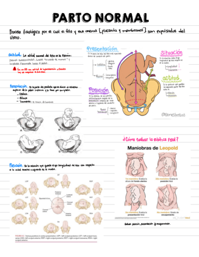 Miniatura del documento Notasobb.pdf
