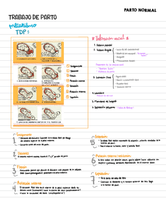 Miniatura del documento Notasobb2.pdf