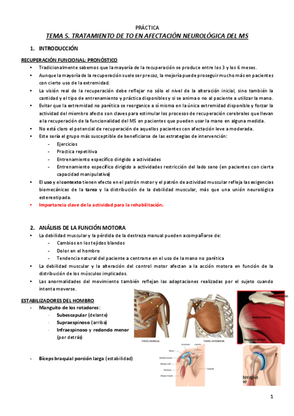 Miniatura del documento T5.pdf