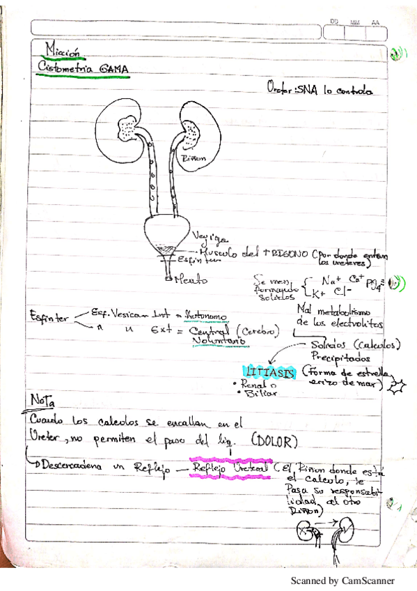 Miniatura del documento Miccion-cistometria.pdf