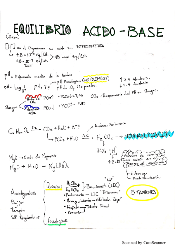 Miniatura del documento Equilibrio-acido-base.pdf