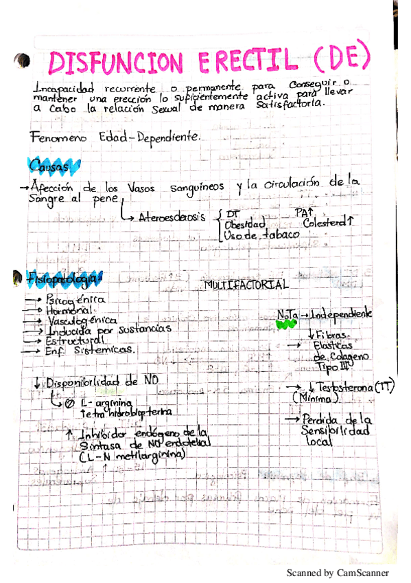 Miniatura del documento disfuncion-erectil.pdf