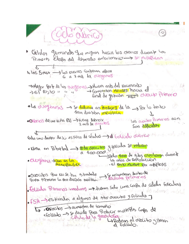 Miniatura del documento ovulacion.pdf