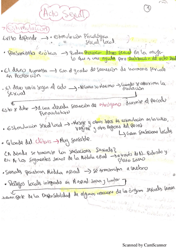 Miniatura del documento acto-sexual-femenino.pdf