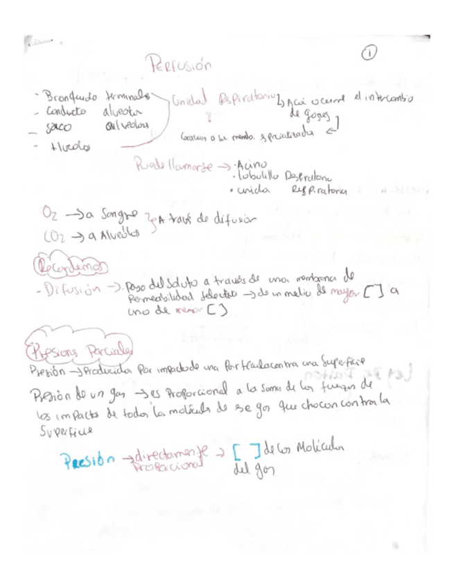 Miniatura del documento Respi-perfusion.pdf