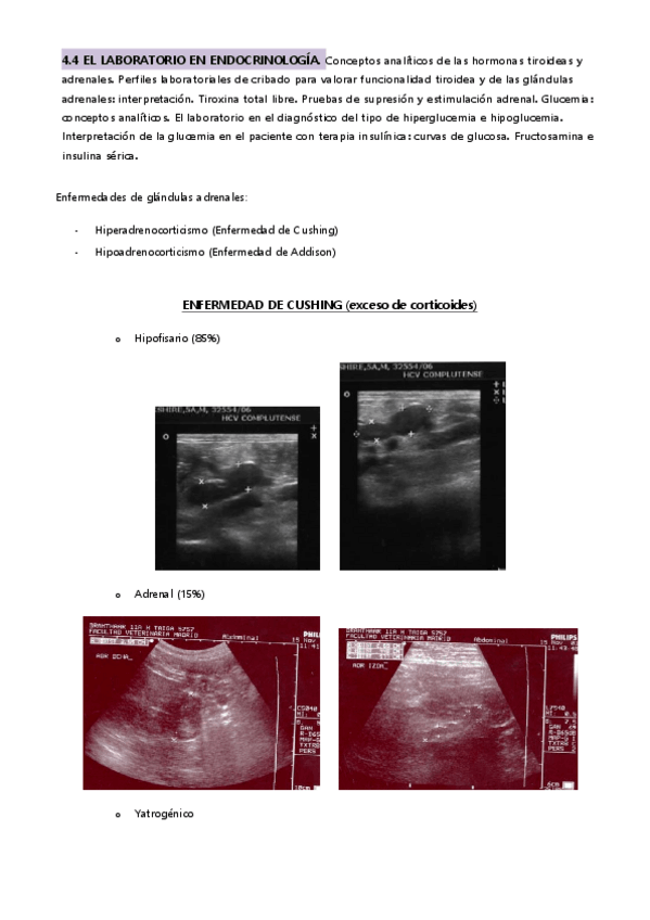 Miniatura del documento 5 DCL endocrino.pdf