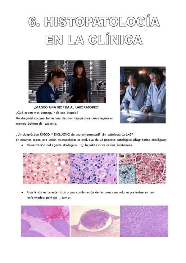 Miniatura del documento HISTOPAT.pdf
