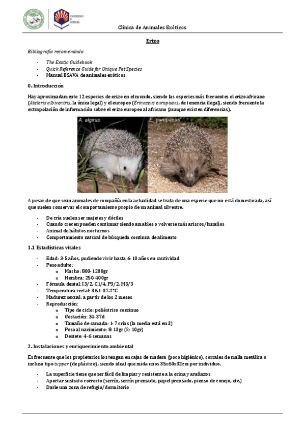 Miniatura del documento Erizo.pdf