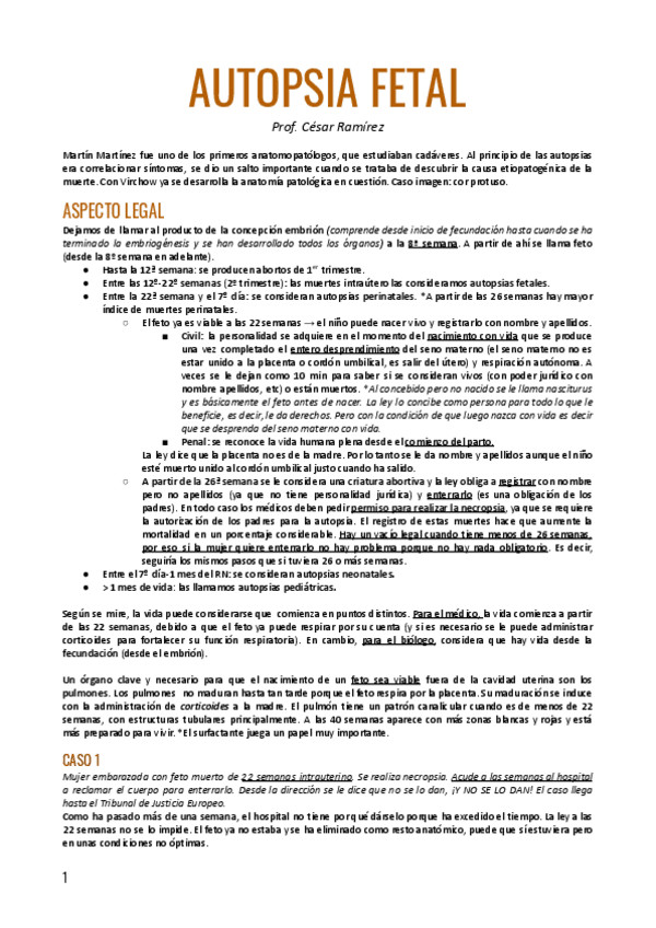 Miniatura del documento Autopsia-fetal-.pdf