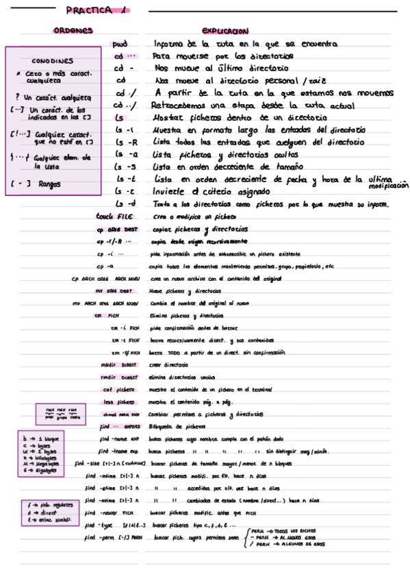 Miniatura del documento P1.pdf