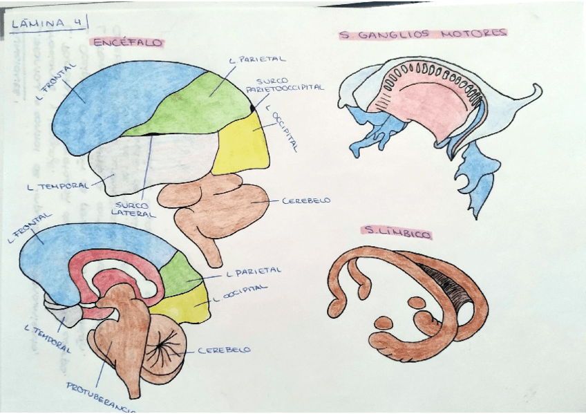 Miniatura del documento T3A-lamina-4.pdf