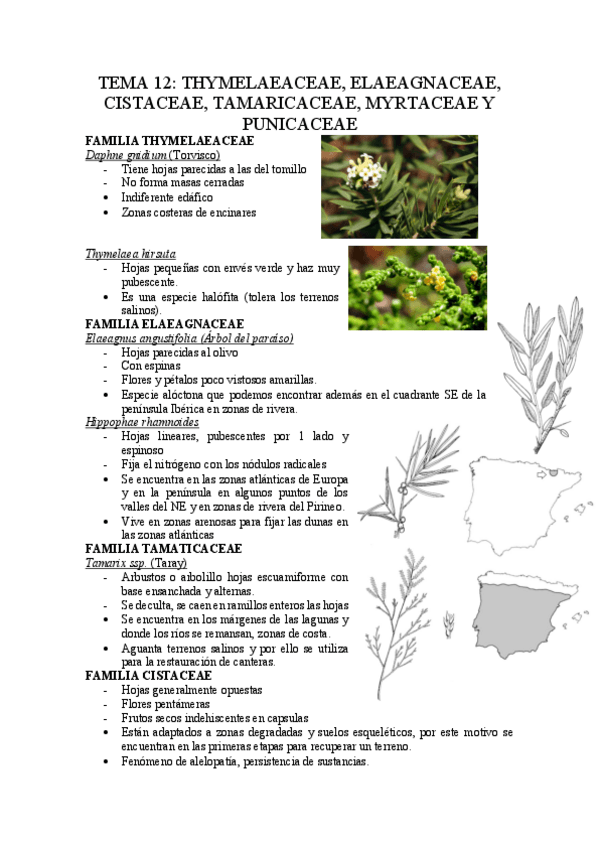 Miniatura del documento Tema-12.pdf