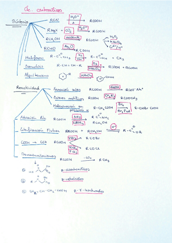 Miniatura del documento Ac. carboxilicos.pdf