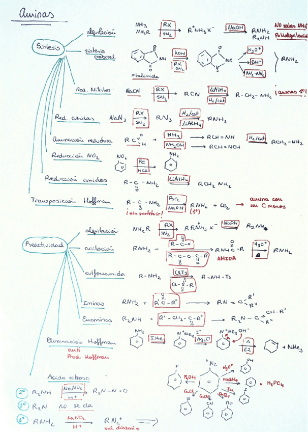 Miniatura del documento Aminas.pdf