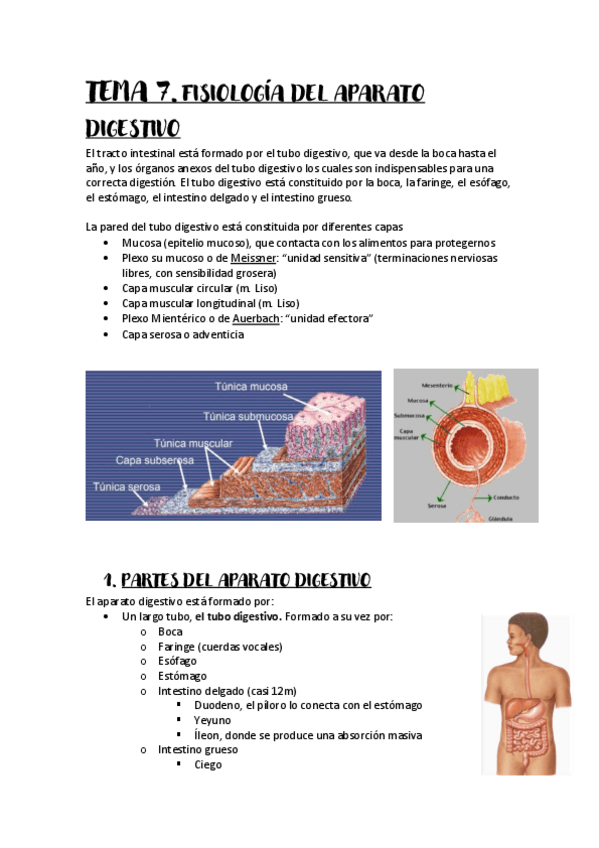 Miniatura del documento Tema-7.pdf
