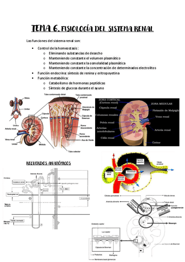 Miniatura del documento TEMA-6.pdf