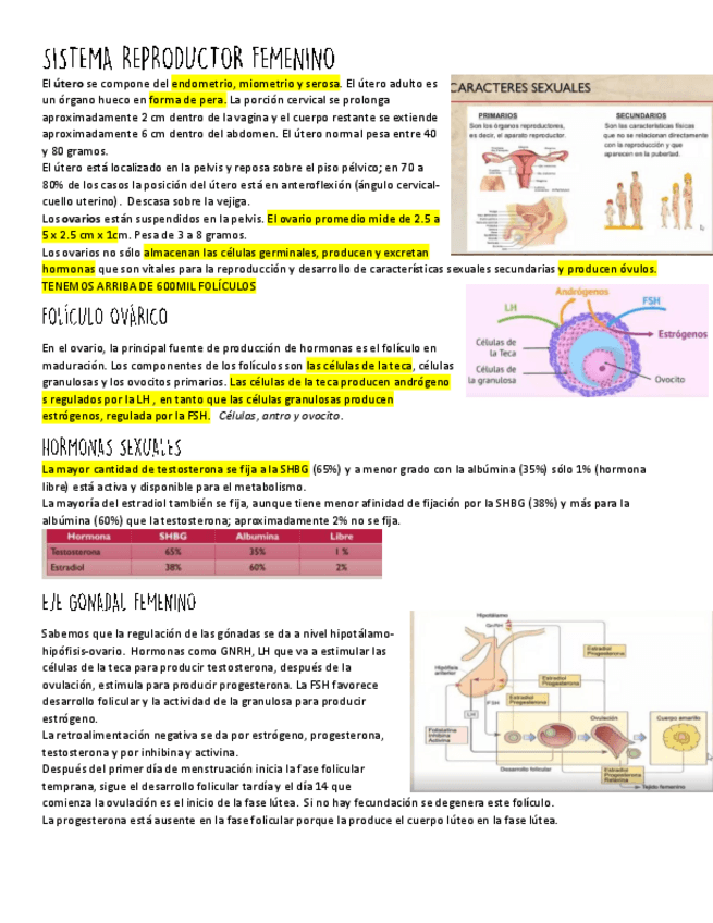 Miniatura del documento endocrino.pdf