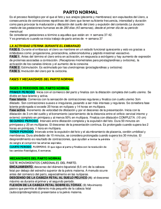 Miniatura del documento PARTO-NORMAL.pdf
