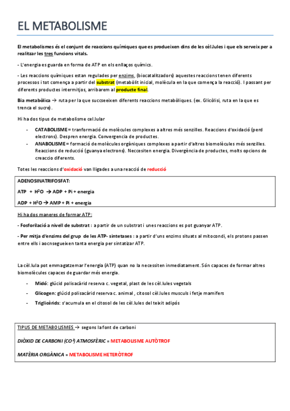 Miniatura del documento METABOLISME.pdf
