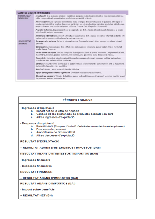 Miniatura del documento Esquema-Balanc-i-compte-Perdues-Guanys.pdf