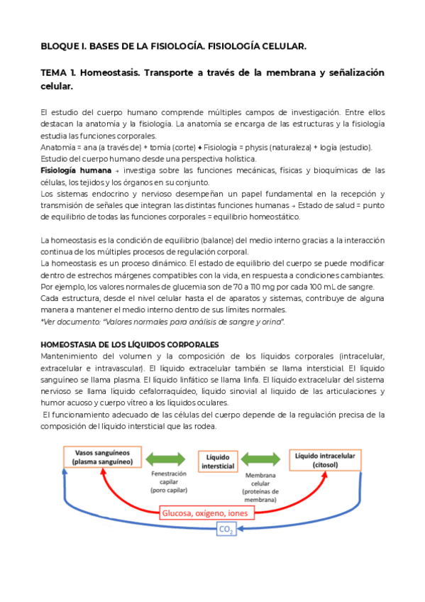 Miniatura del documento Bloque-1.pdf