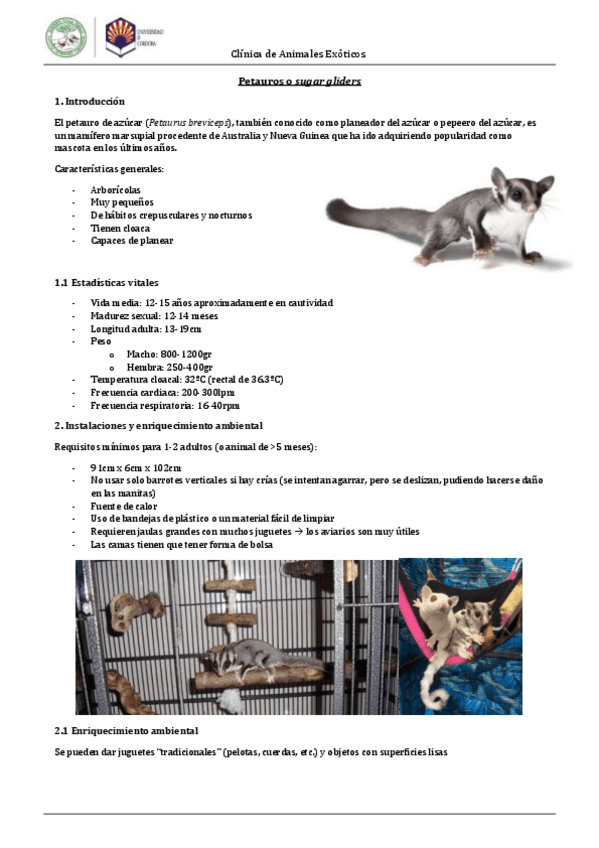 Miniatura del documento Petauro.pdf