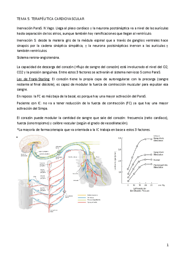 Miniatura del documento Tema-5.pdf