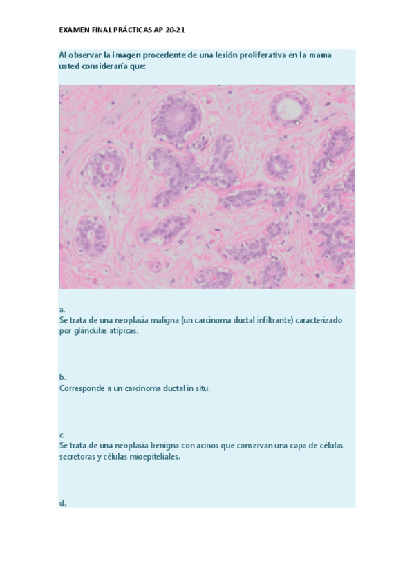 Miniatura del documento EX-PRACTICAS-FINAL-AP-20-21.pdf