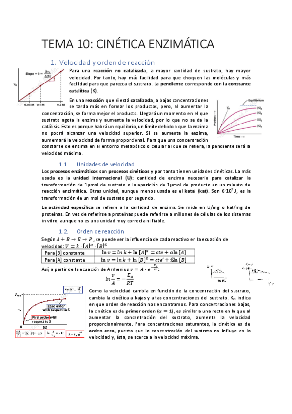 Miniatura del documento biomoltema10.pdf