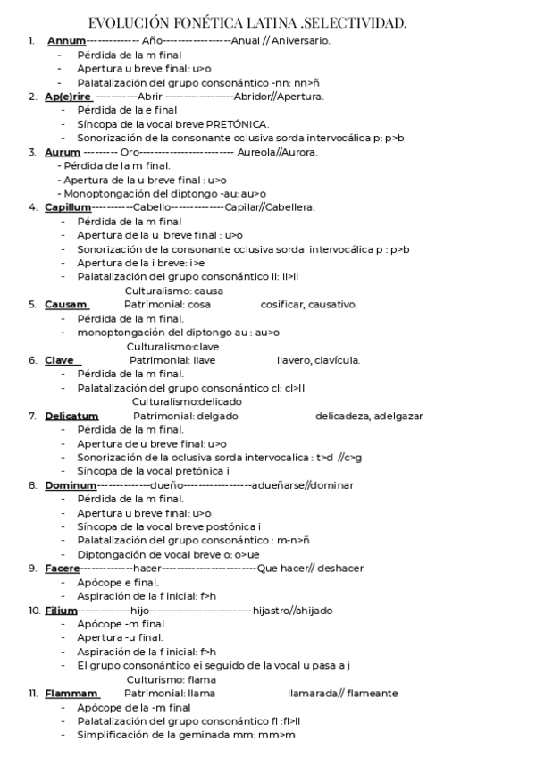 Miniatura del documento EVOLUCION-FONETICA-LATINA-.pdf