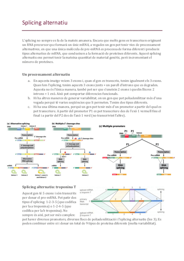 Miniatura del documento 19-Splicing-alternatiu.pdf