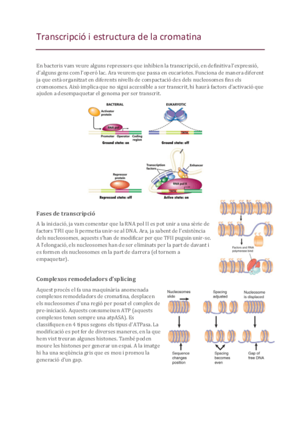 Miniatura del documento 20-Estructura-cromatina.pdf
