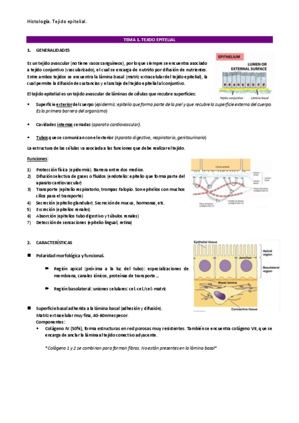 Miniatura del documento Tema-1.pdf
