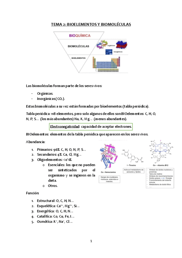 Miniatura del documento Tema-2-bioelementos-y-biomoleculas.pdf