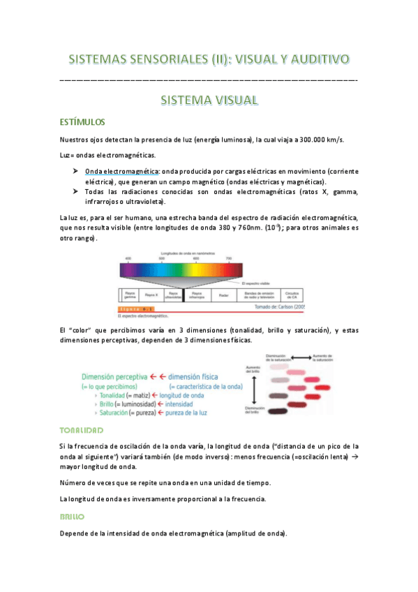 Miniatura del documento apuntes-t7-neuro.pdf
