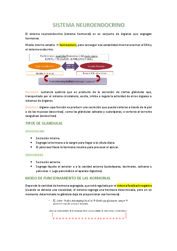 Miniatura del documento apuntes-t5-neuro.pdf